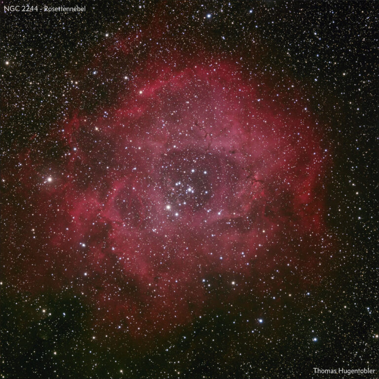 NGC 2244 – Rosettennebel