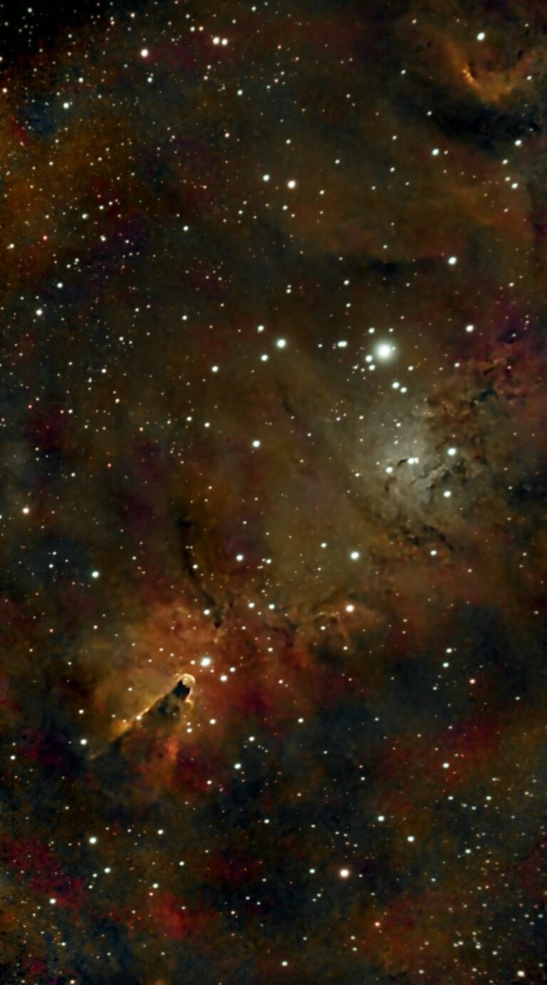 NGC 2264