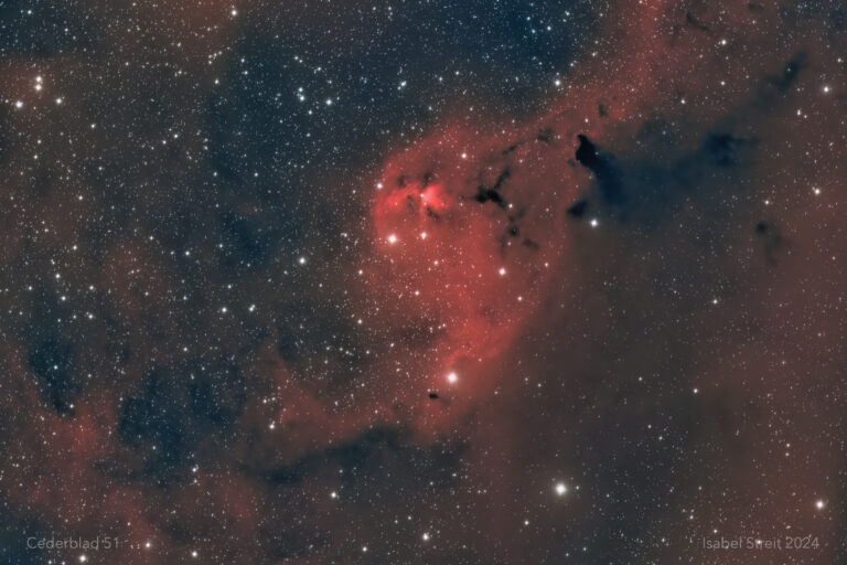 Cederblad 51