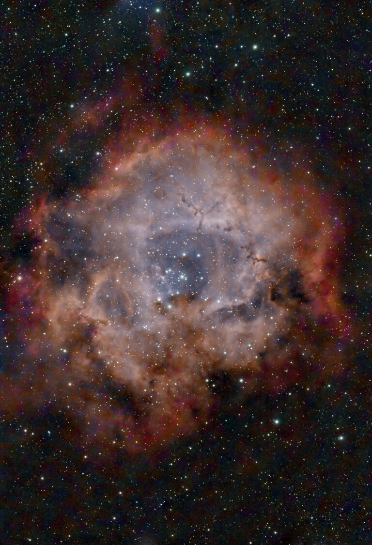 Rosettennebel NGC 2244