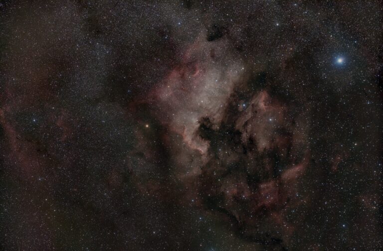 Nordamerikanebel NGC 7000