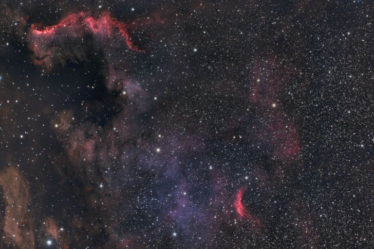 NGC 7000